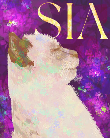 An Ode to Sia